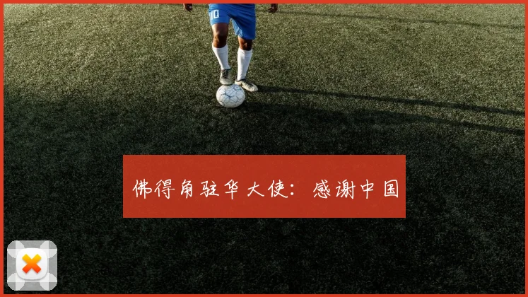 佛得角驻华大使:感谢中国