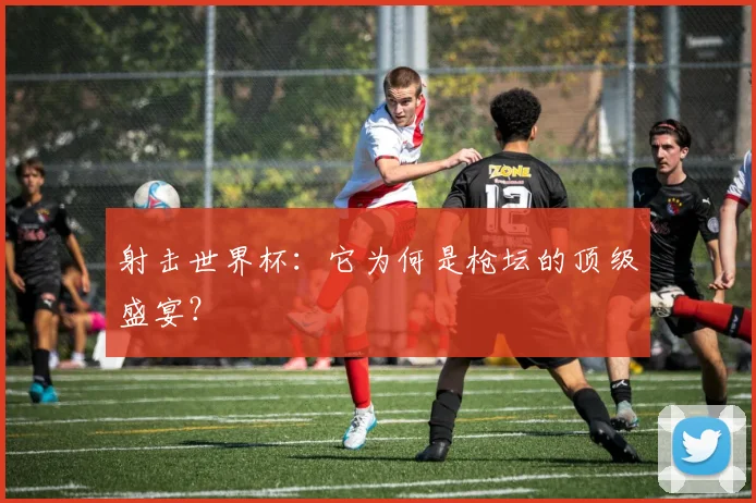 射击世界杯：它为何是枪坛的顶级盛宴？