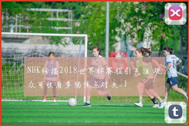 NHK转播2018世界杯赛程引关注 观众可收看多场焦点对决_1