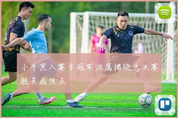 小牛黑八赛季冠军归属揭晓总决赛胜负成焦点