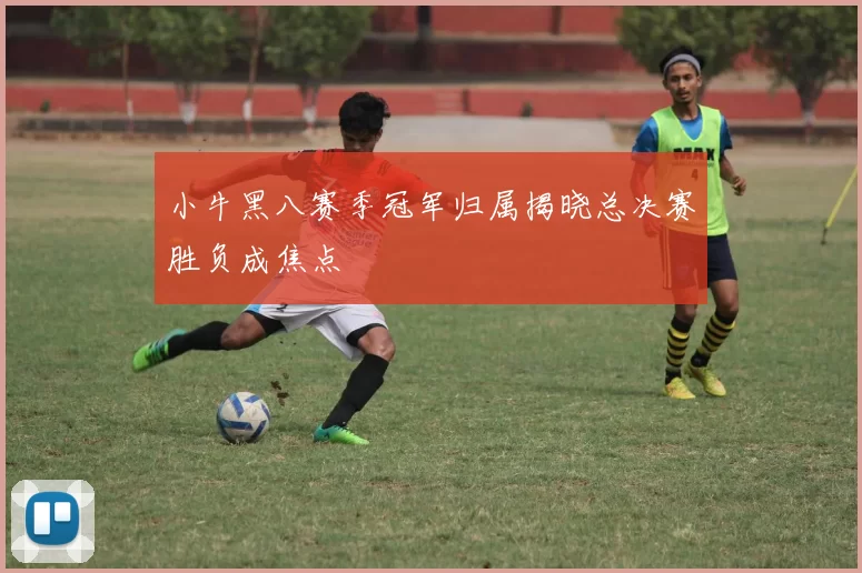 小牛黑八赛季冠军归属揭晓总决赛胜负成焦点