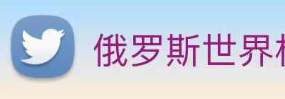俄罗斯世界杯中国官网 logo